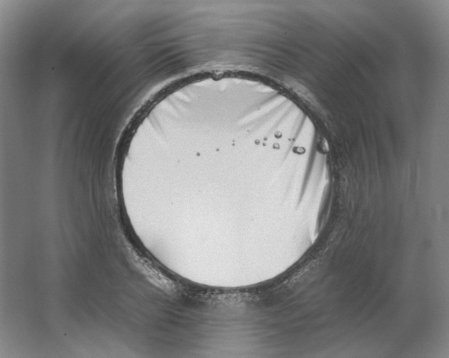 X0000063460934200602101711