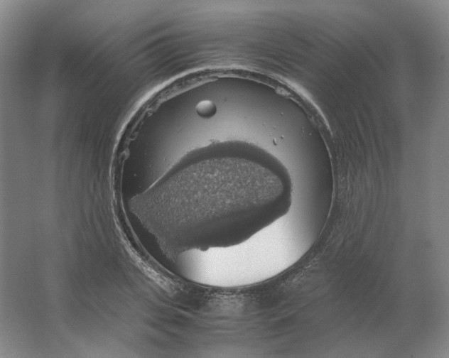 X0000063460935200602101711