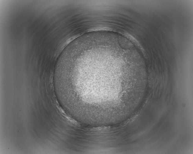 X0000063460937200602101711