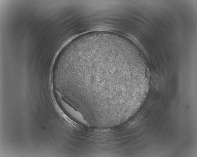 X0000063460939200602101711