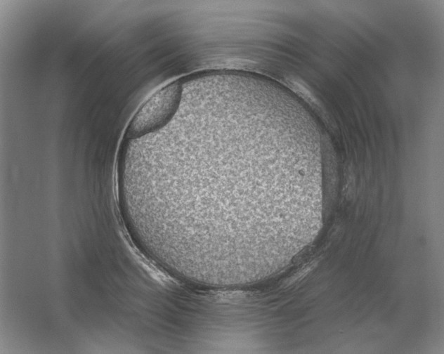 X0000063460940200602101711