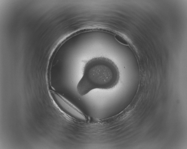 X0000063460943200602101711