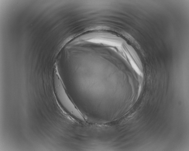 X0000063460945200602101711