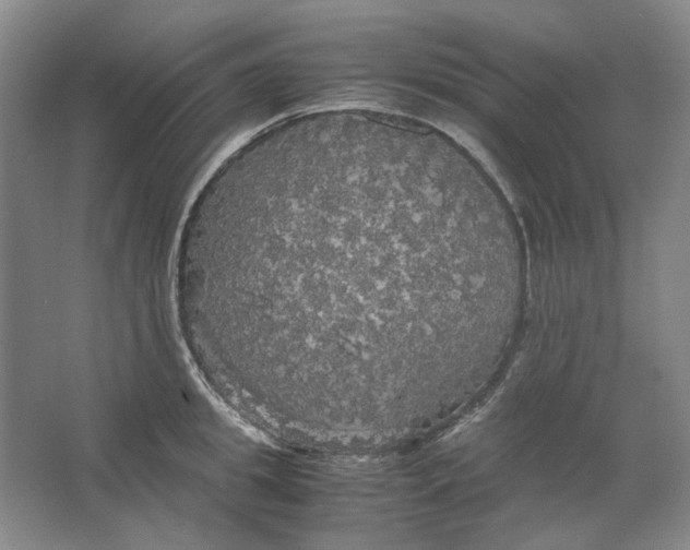 X0000063460949200602101711