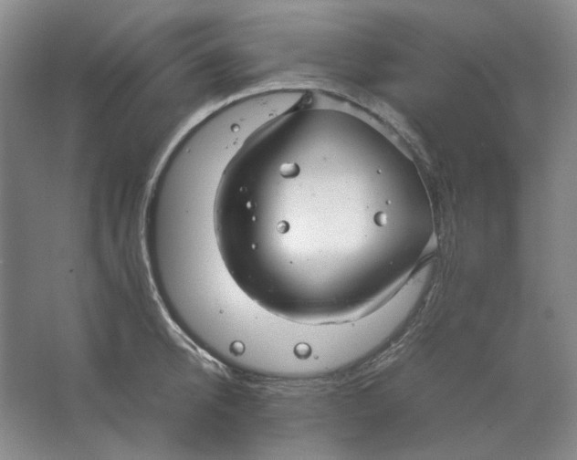 X0000063460950200602101711