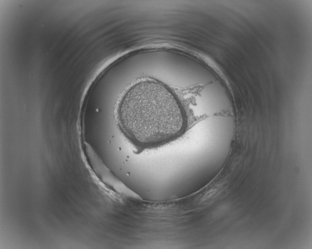 X0000063460951200602101711