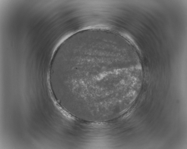 X0000063460952200602101711