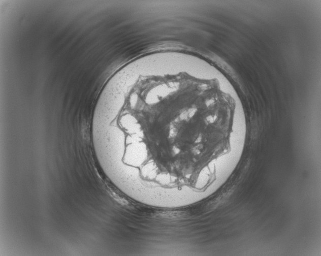 X0000063460953200602101711