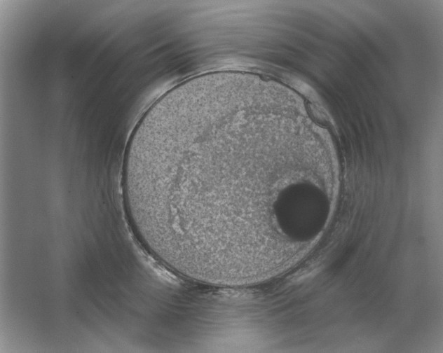 X0000063460954200602101711