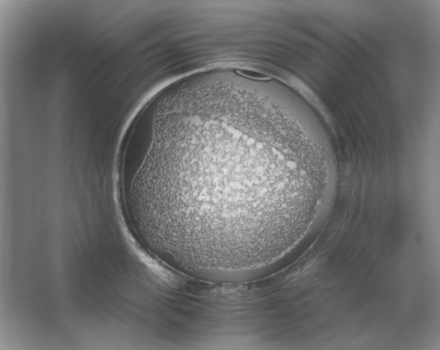 X0000063460955200602101711