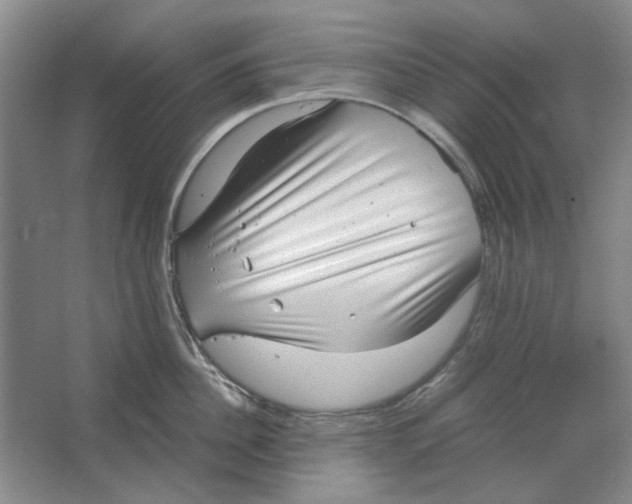 X0000063460956200602101711