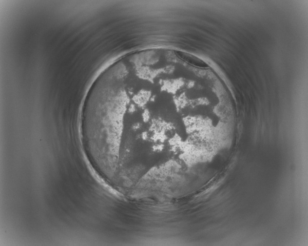 X0000063460957200602101711