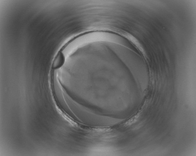 X0000063460958200602101711