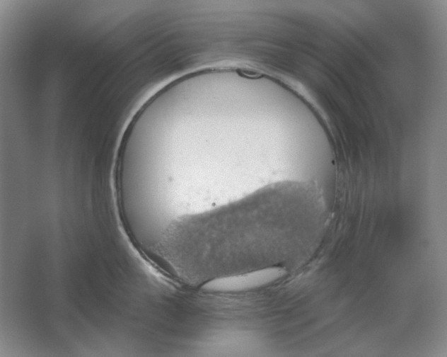 X0000063460959200602101711