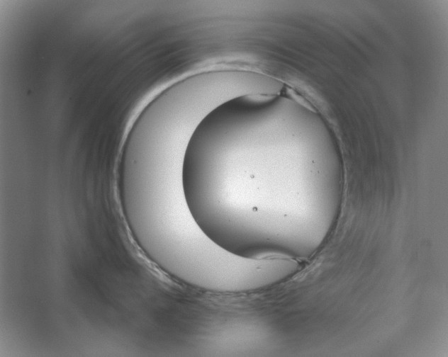 X0000063460960200602101711