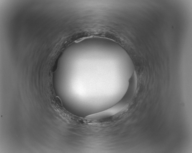 X0000063460961200602101710