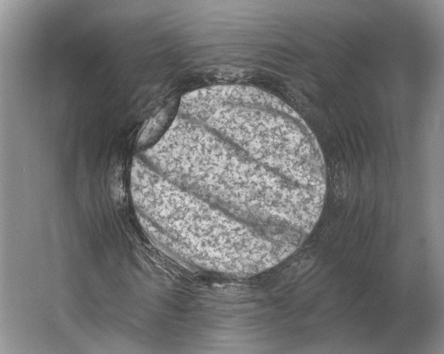 X0000063460962200602101710