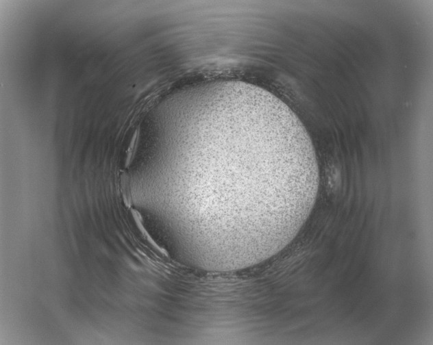 X0000063460964200602101710