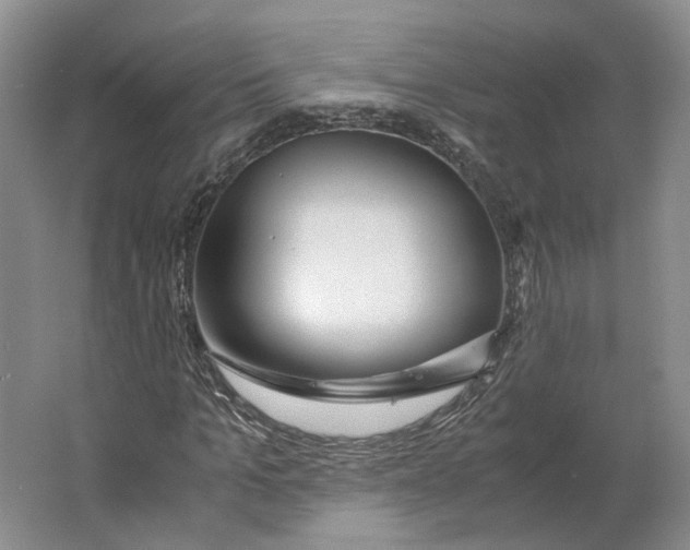 X0000063460965200602101710