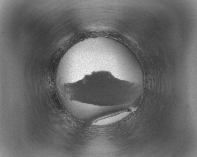 X0000063460966200602101710