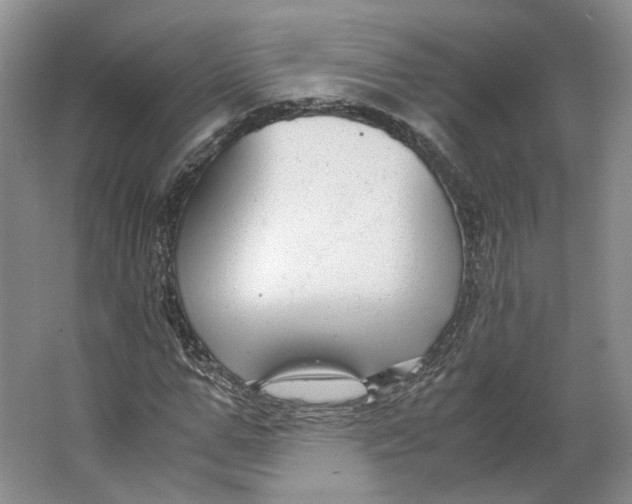 X0000063460967200602101710