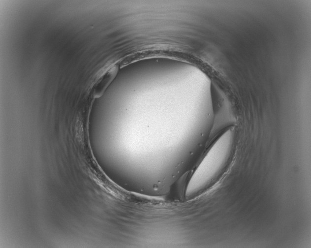 X0000063460969200602101710