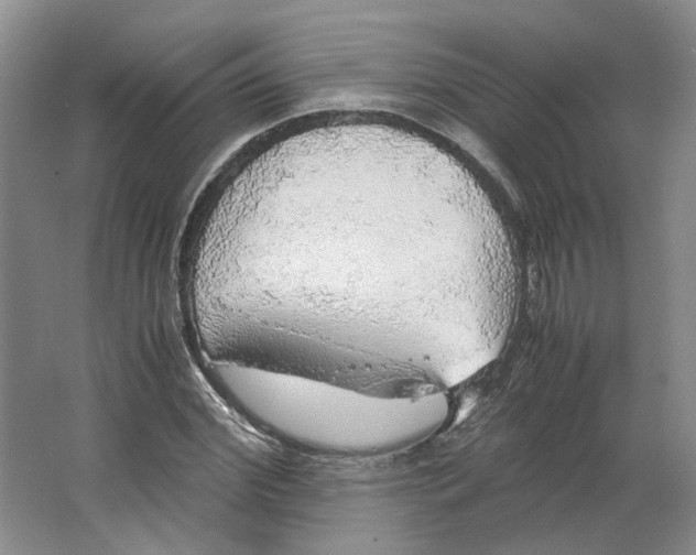 X0000063460972200602101710