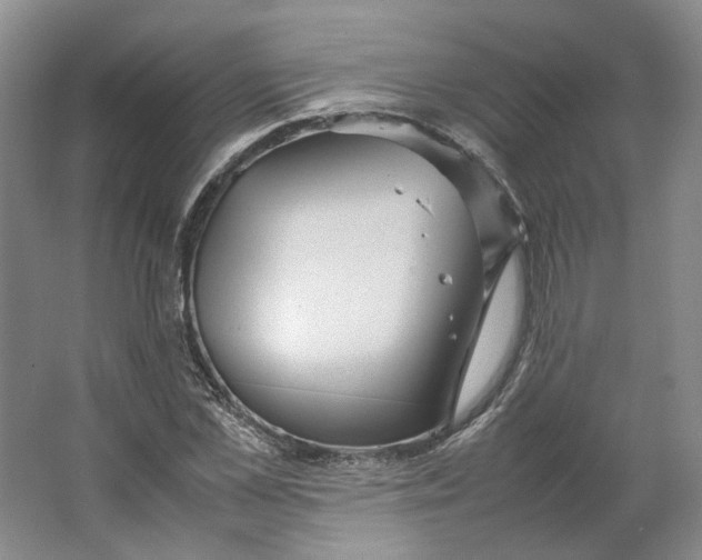 X0000063460973200602101710