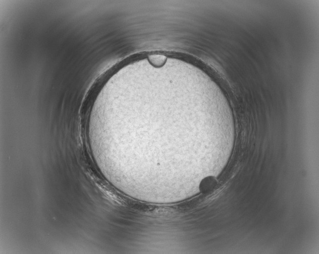 X0000063460974200602101710