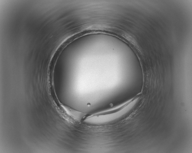 X0000063460976200602101710