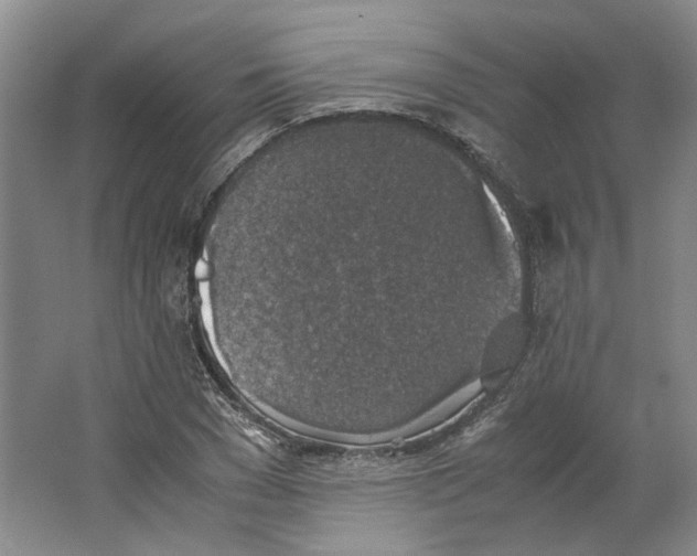 X0000063460977200602101710