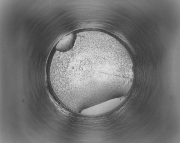 X0000063460980200602101710