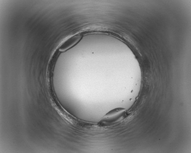 X0000063460981200602101710