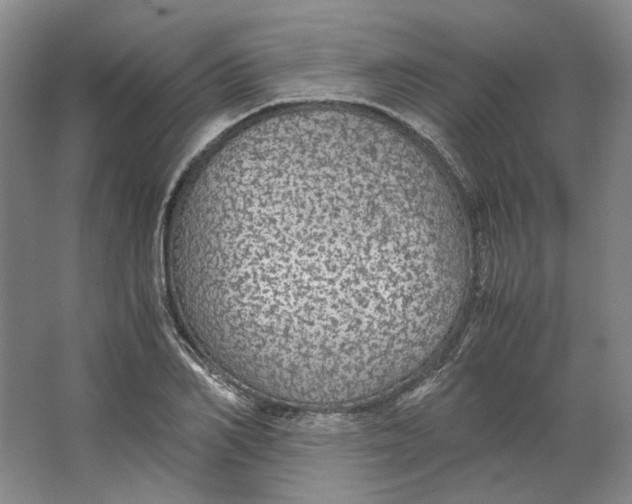 X0000063460982200602101710