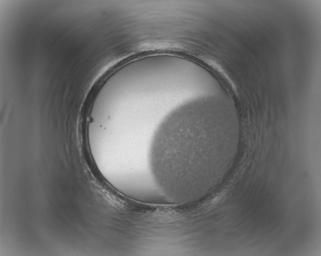 X0000063460983200602101710