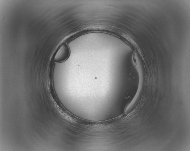 X0000063460984200602101710