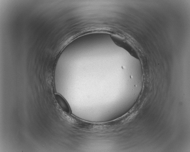 X0000063460985200602101710