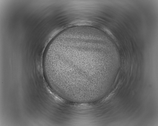 X0000063460986200602101710