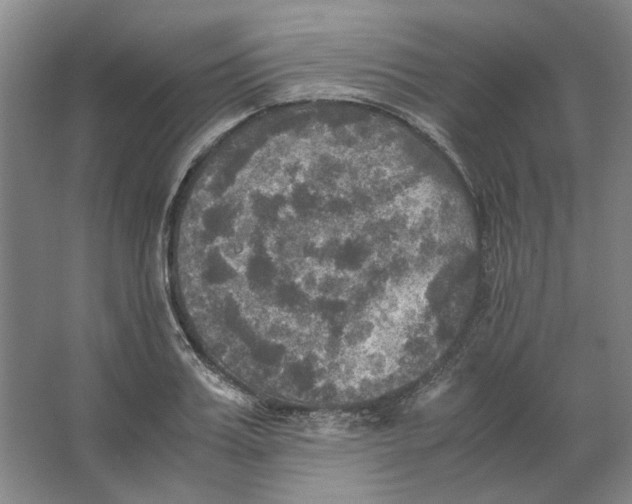 X0000063460987200602101710