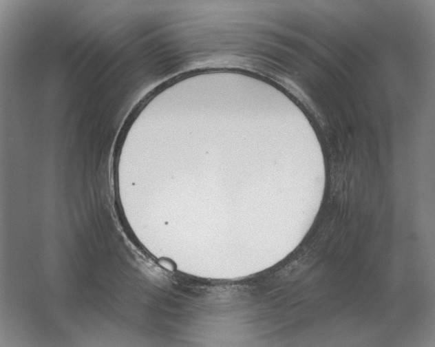 X0000063460988200602101710