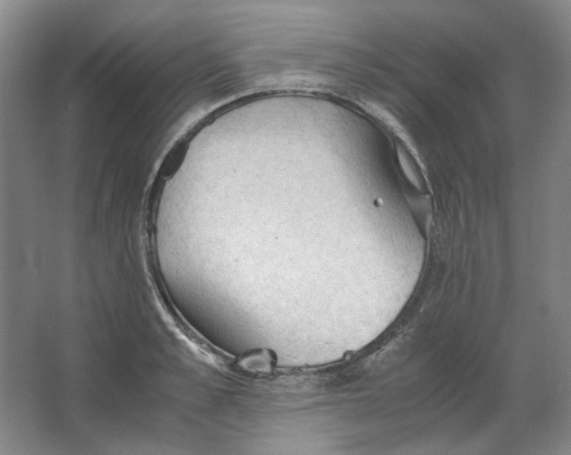 X0000063460989200602101710