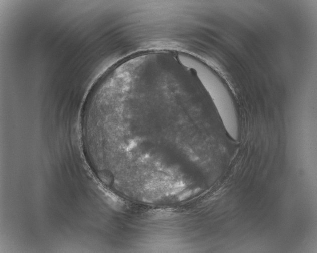 X0000063460990200602101710