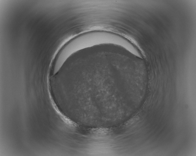 X0000063460991200602101710