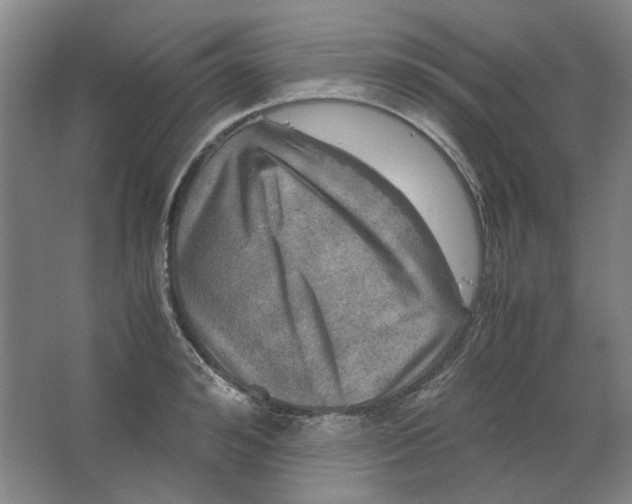 X0000063460992200602101710