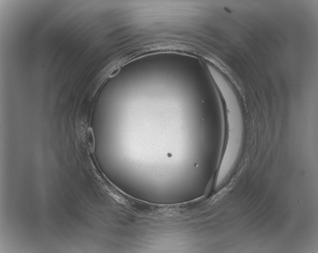 X0000063460993200602101710