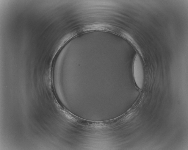 X0000063460994200602101710