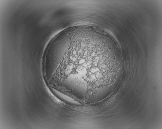 X0000063460995200602101710