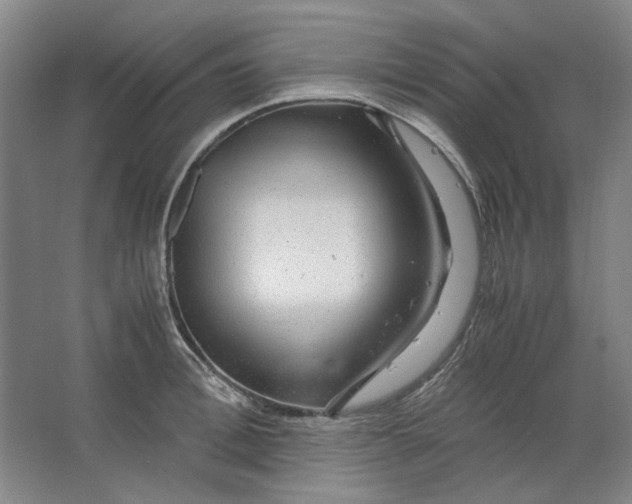 X0000063460996200602101710