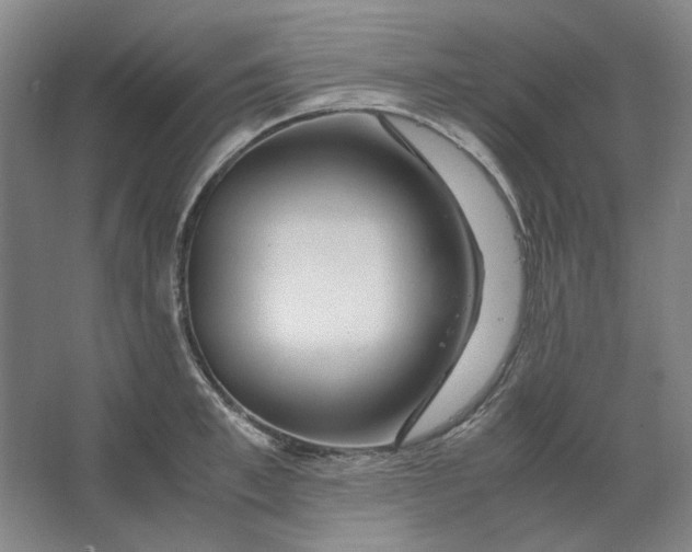 X0000063460997200602101710