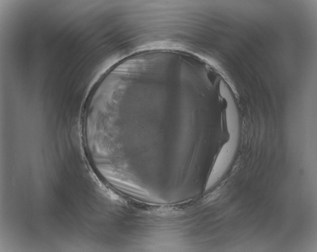 X0000063460998200602101709